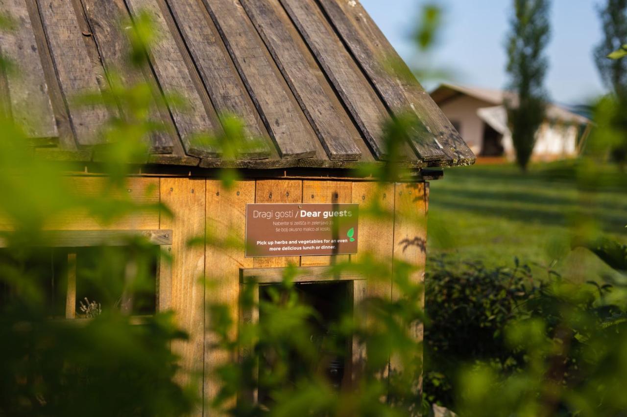 Glamping Kolpa Resort Gradac Exterior photo